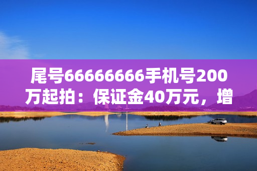 尾号66666666手机号200万起拍:保证金40万元,增价幅度1万元 尾号66666666手机号200万起拍:保证金40万元,增价幅度1万元