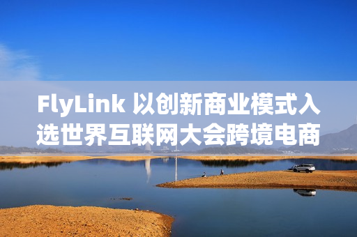 FlyLink 以创新商业模式入选世界互联网大会跨境电商实践案例集