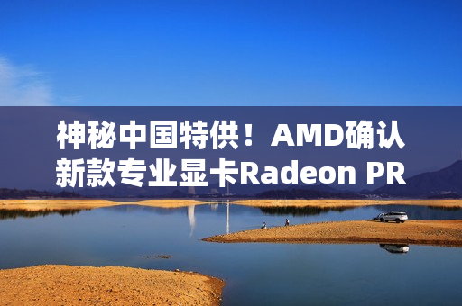 神秘中国特供！AMD确认新款专业显卡Radeon PRO W7900D