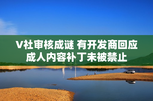 V社审核成谜 有开发商回应成人内容补丁未被禁止