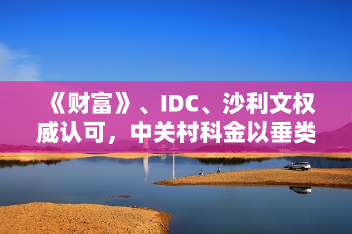 《财富》、IDC、沙利文权威认可，中关村科金以垂类大模型引领产业智能化
