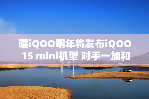曝iQOO明年将发布iQOO 15 mini机型 对手一加和小米？
