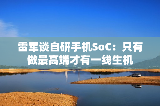 雷军谈自研手机SoC：只有做最高端才有一线生机