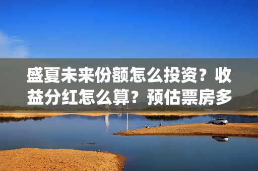 盛夏未来份额怎么投资？收益分红怎么算？预估票房多少？(盛夏未来总投资)
