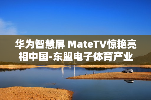 华为智慧屏 MateTV惊艳亮相中国-东盟电子体育产业活动周