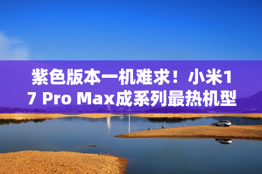 紫色版本一机难求！小米17 Pro Max成系列最热机型