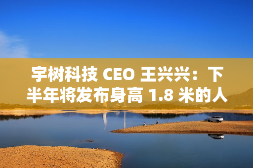 宇树科技 CEO 王兴兴：下半年将发布身高 1.8 米的人形机器人