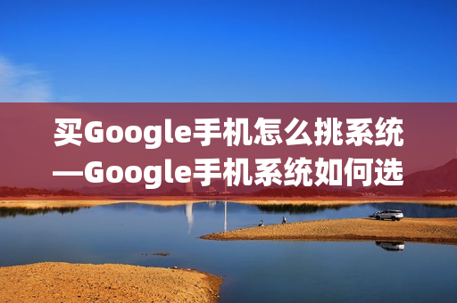 买Google手机怎么挑系统—Google手机系统如何选择方法