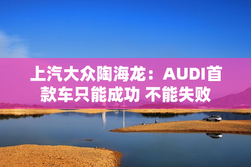 上汽大众陶海龙：AUDI首款车只能成功 不能失败