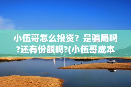 小伍哥怎么投资？是骗局吗?还有份额吗?(小伍哥成本)