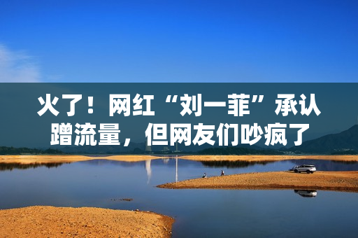 火了！网红“刘一菲”承认蹭流量，但网友们吵疯了