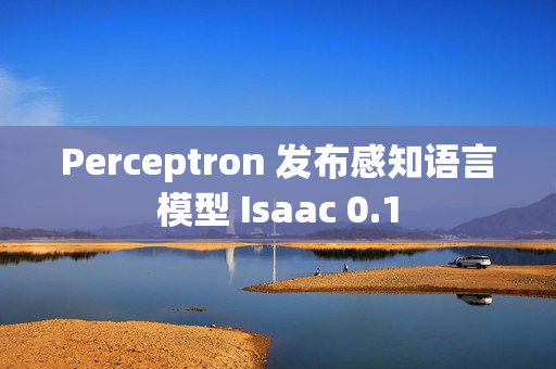 Perceptron 发布感知语言模型 Isaac 0.1