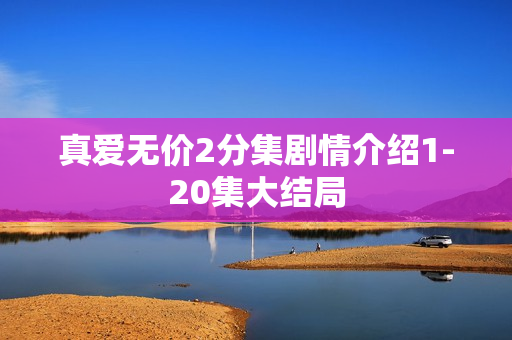 真爱无价2分集剧情介绍1-20集大结局 真爱无价2分集剧情介绍1-20集大结局