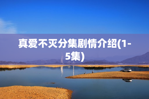 真爱不灭分集剧情介绍(1-5集) 真爱不灭分集剧情介绍(1-5集)