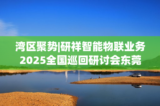 湾区聚势|研祥智能物联业务2025全国巡回研讨会东莞站圆满举办