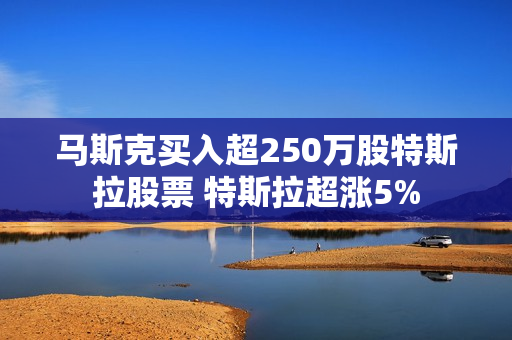 马斯克买入超250万股特斯拉股票 特斯拉超涨5% 马斯克买入超250万股特斯拉股票 特斯拉超涨5%
