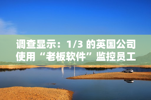调查显示:1/3 的英国公司使用“老板软件”监控员工活动 调查显示:1/3 的英国公司使用“老板软件”监控员工活动