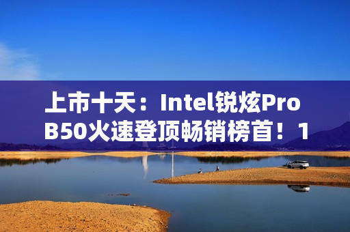 上市十天：Intel锐炫Pro B50火速登顶畅销榜首！16GB大显存2999元