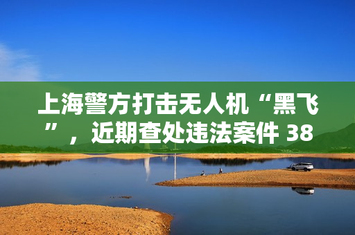 上海警方打击无人机“黑飞”，近期查处违法案件 380 余起