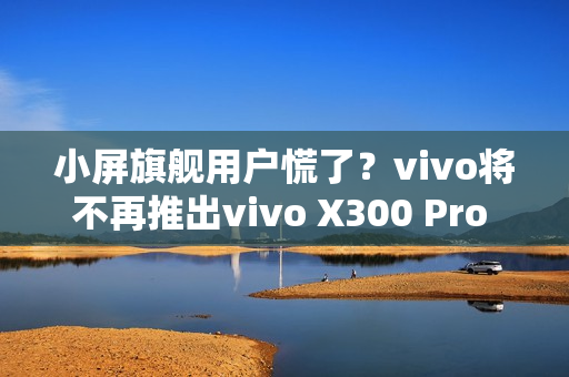 小屏旗舰用户慌了？vivo将不再推出vivo X300 Pro mini