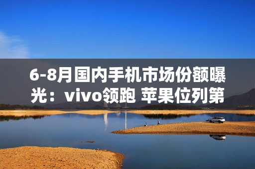 6-8月国内手机市场份额曝光：vivo领跑 苹果位列第六
