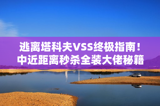 逃离塔科夫VSS终极指南！中近距离秒杀全装大佬秘籍