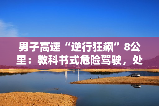 男子高速“逆行狂飙”8公里：教科书式危险驾驶，处罚结果引热议