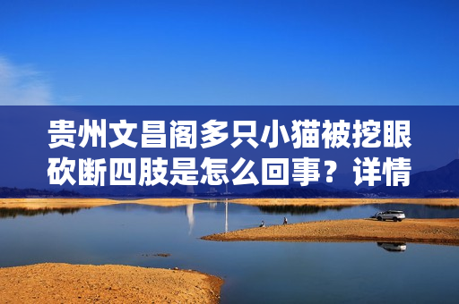 贵州文昌阁多只小猫被挖眼砍断四肢是怎么回事？详情介绍