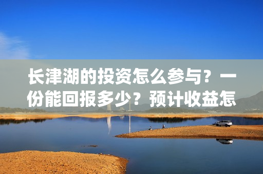 长津湖的投资怎么参与？一份能回报多少？预计收益怎么计算？(长津湖 投资比例)
