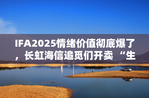 IFA2025情绪价值彻底爆了，长虹海信追觅们开卖 “生活方式”