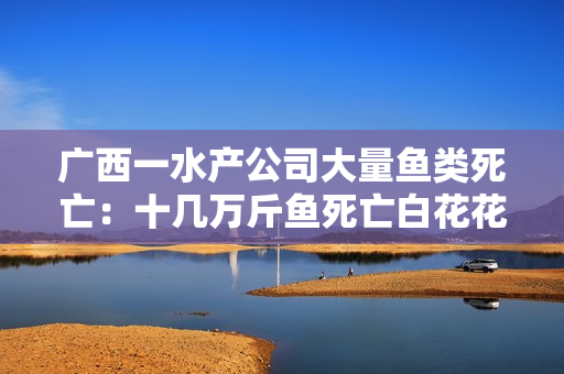 广西一水产公司大量鱼类死亡:十几万斤鱼死亡白花花铺满鱼塘 广西一水产公司大量鱼类死亡:十几万斤鱼死亡白花花铺满鱼塘
