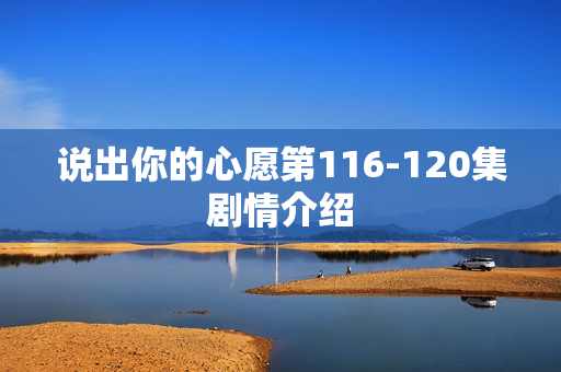 说出你的心愿第116-120集剧情介绍