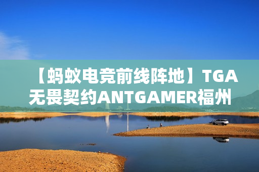 【蚂蚁电竞前线阵地】TGA无畏契约ANTGAMER福州赛电竞蜂代表队Diamond1晋级