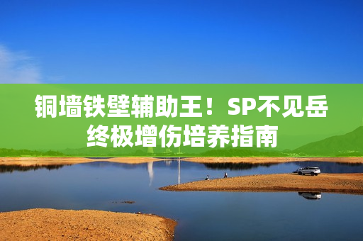 铜墙铁壁辅助王！SP不见岳终极增伤培养指南