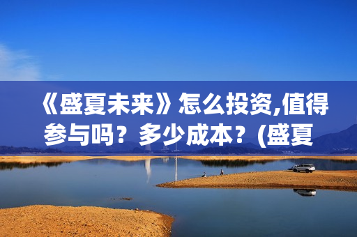 《盛夏未来》怎么投资,值得参与吗？多少成本？(盛夏未来ts)