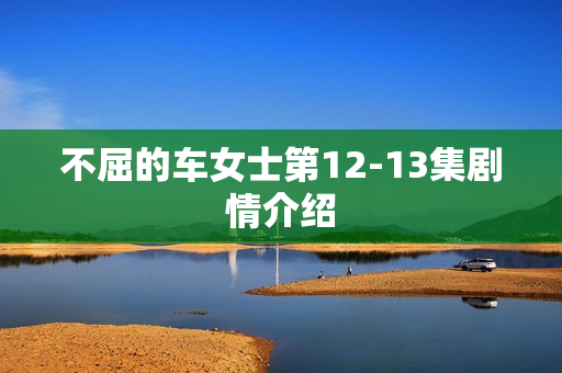 不屈的车女士第12-13集剧情介绍