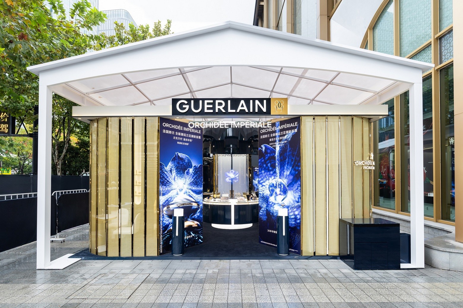 17621632<span style='background-color: orange'>996</span>66091.jpg