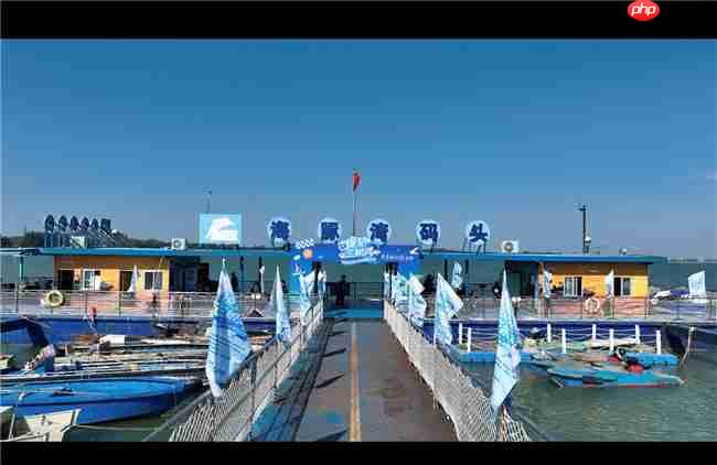 从参与到守护：镜头定格粉红色海豚，从全民寻“豚”到全民护“豚”