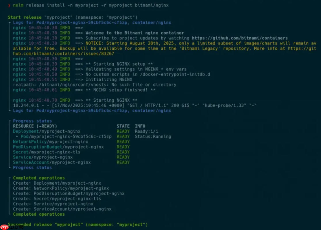 Nelm 与 Helm 4 的比较:现有差异与未来规划
