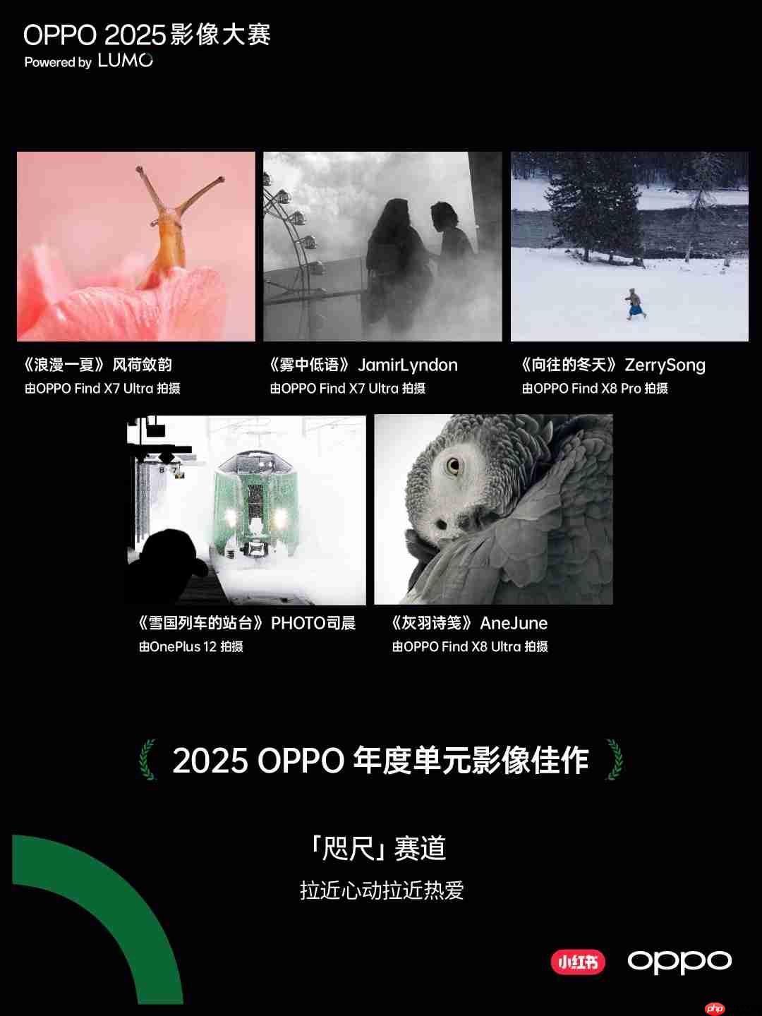 点亮感动时刻！OPPO 2025影像大赛获奖作品重磅揭晓