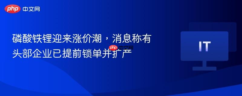 磷酸铁锂迎来涨价潮,消息称有头部企业已提前锁单并扩产