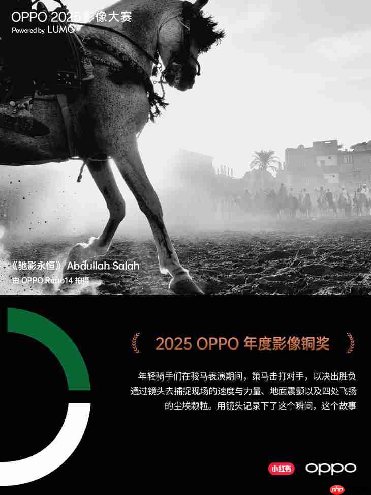 点亮感动时刻 OPPO 2025影像大赛获奖作品正式公布