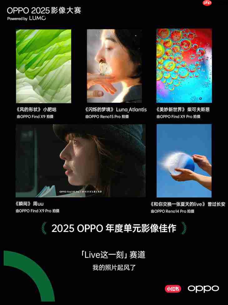 点亮感动时刻 OPPO 2025影像大赛获奖作品正式公布