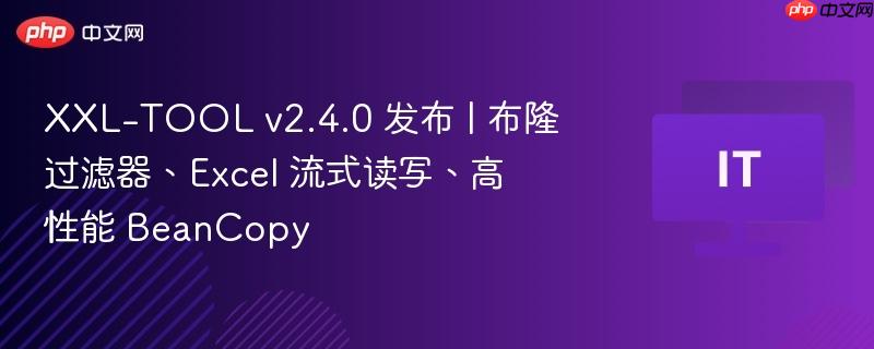 XXL-TOOL v2.4.0 发布 | 布隆过滤器、Excel 流式读写、高性能 BeanCopy