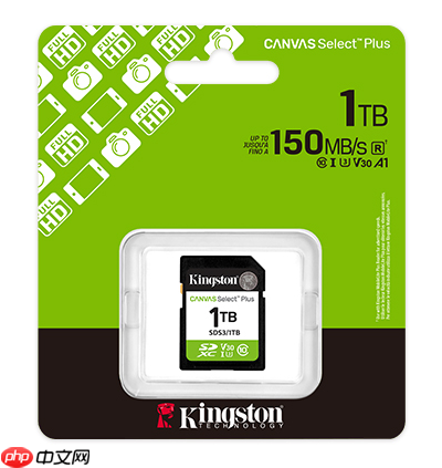冬季外拍实力派 金士顿CanvasPlus系列存储卡