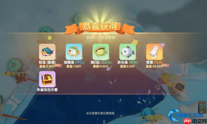 鲶鱼钓鱼全攻略：从入门到精通，轻松获取高级鱼饵