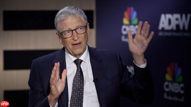 比尔·盖茨谈 AI 泡沫：相当一部分公司估值并不合理