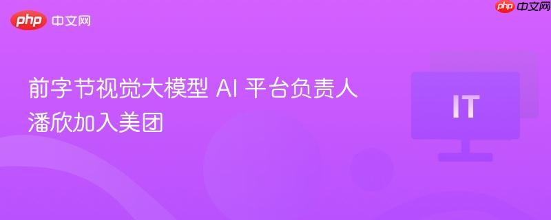 前字节视觉大模型 AI 平台负责人潘欣加入美团