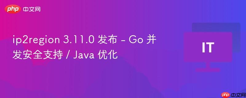 ip2region 3.11.0 发布 - Go 并发安全支持 / Java 优化