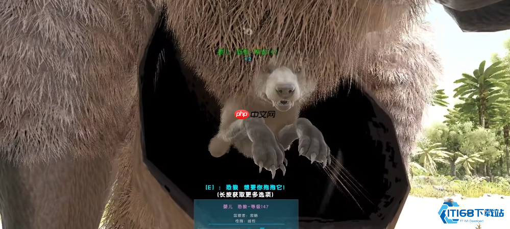 巨型袋鼠全攻略：移动运输与育幼神器